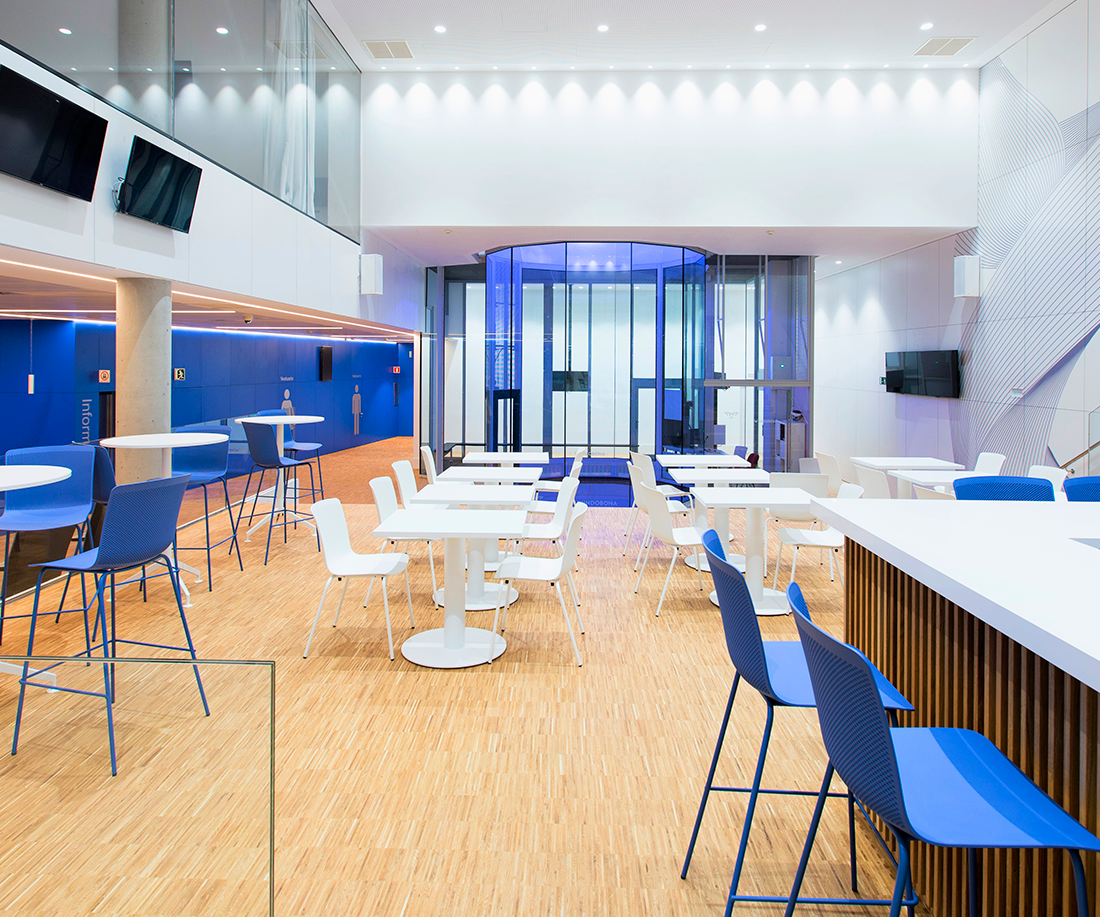 Windobona Skydiving-2