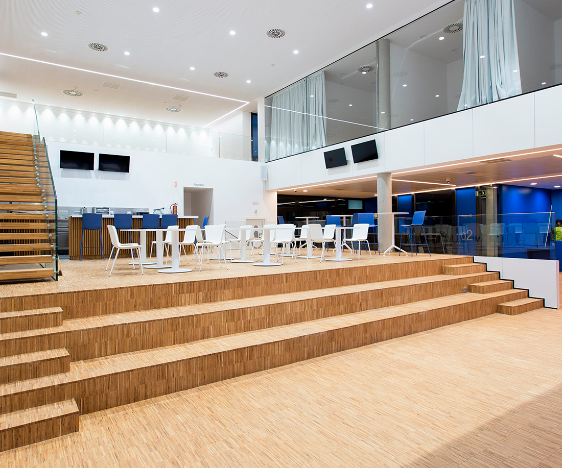 Windobona Skydiving-3